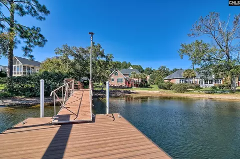 Other - 145 Bay Pointe Dr, Chapin, SC 29036 photo 7 of 13