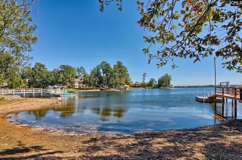 View/Area - 145 Bay Pointe Dr, Chapin, SC 29036 photo 2 of 6