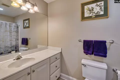 Bath - 145 Bay Pointe Dr, Chapin, SC 29036 photo 6 of 7
