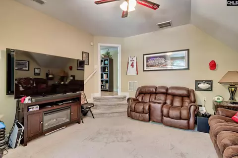 Other - 145 Bay Pointe Dr, Chapin, SC 29036 photo 11 of 13