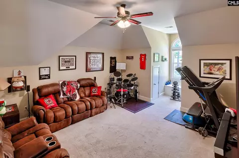 Other - 145 Bay Pointe Dr, Chapin, SC 29036 photo 10 of 13