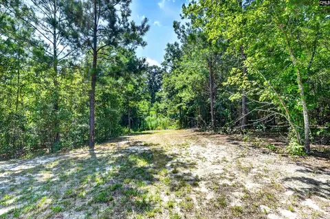 Exterior - 2215 Porter Rd, Cassatt, SC 29032 photo 4 of 7