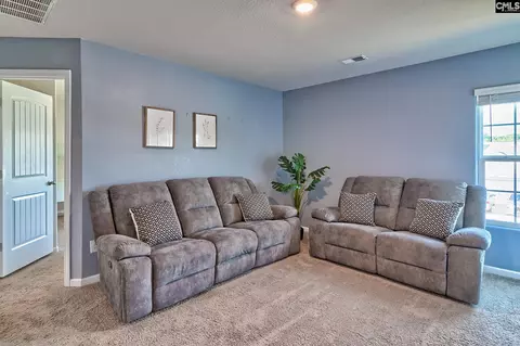 Other - 834 Red Berry Ln, Gilbert, SC 29054 photo 3 of 7