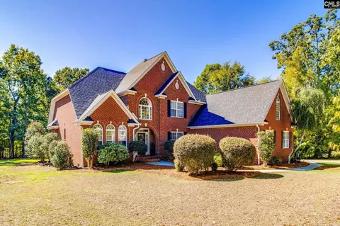 437 Caro Ln, Chapin, SC 29036