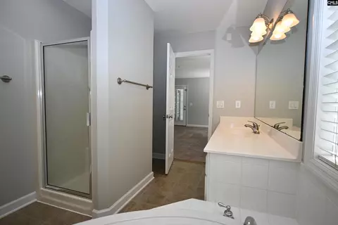Bath - 103 Highland Hope Ln, Gilbert, SC 29054 photo 5 of 6