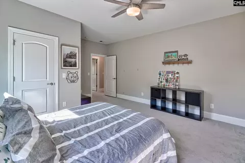 Bedroom - 1214 Danvers Ln, Chapin, SC 29036 photo 11 of 11