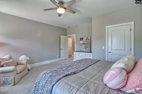 Bedroom - 1214 Danvers Ln, Chapin, SC 29036 photo 9 of 11