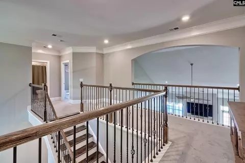 Entry Way - 1214 Danvers Ln, Chapin, SC 29036 photo 6 of 7