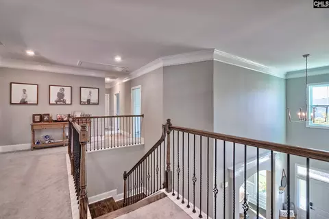 Entry Way - 1214 Danvers Ln, Chapin, SC 29036 photo 5 of 7