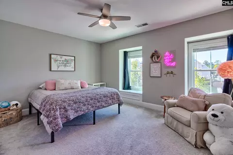 Bedroom - 1214 Danvers Ln, Chapin, SC 29036 photo 8 of 11