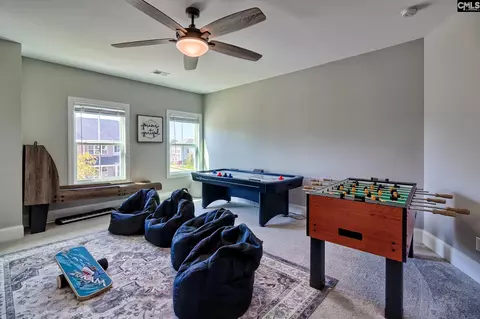 Other - 1214 Danvers Ln, Chapin, SC 29036 photo 13 of 14