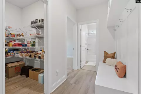 Entry Way - 527 Radnor Hunt Ct, Gilbert, SC 29054 photo 5 of 10