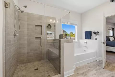 Bath - 527 Radnor Hunt Ct, Gilbert, SC 29054 photo 2 of 8