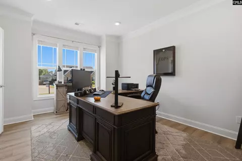 Other - 527 Radnor Hunt Ct, Gilbert, SC 29054 photo 1 of 14