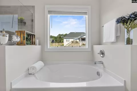 Bath - 527 Radnor Hunt Ct, Gilbert, SC 29054 photo 5 of 8