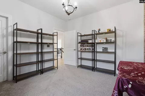 Other - 527 Radnor Hunt Ct, Gilbert, SC 29054 photo 9 of 14