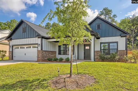 256 Murray Falls Ln, Chapin, SC 29036