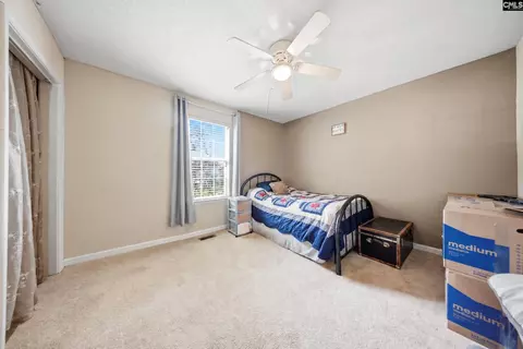 Other - 337 Firebridge Dr, Chapin, SC 29036 photo 4 of 8