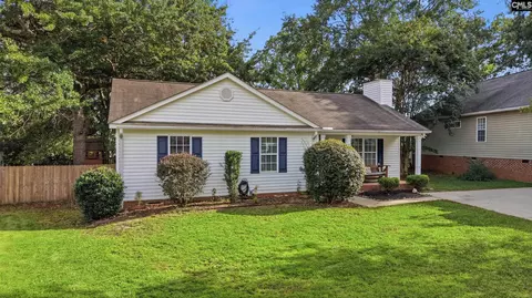 Other - 337 Firebridge Dr, Chapin, SC 29036 photo 1 of 8