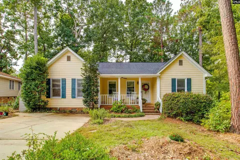 128 E Sparrowood Run, Lexington, SC 29072