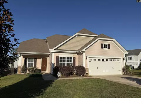 356 Massey Cir, Chapin, SC 29036