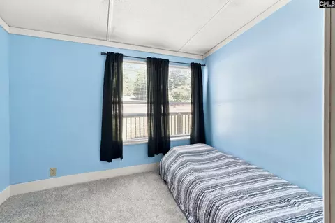 434 Blacksgate E, Prosperity, SC 29127 photo 19
