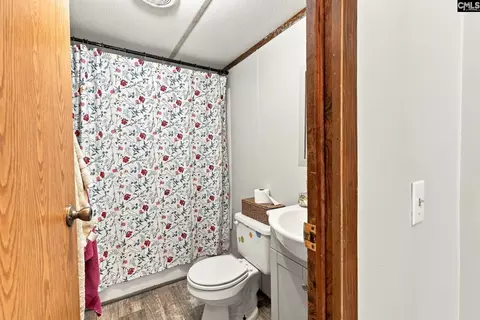 434 Blacksgate E, Prosperity, SC 29127 photo 15