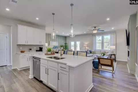 352 Grannys Cut Way, Chapin, SC 29036