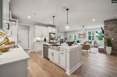 491 Grannys Cut Way, Chapin, SC 29036