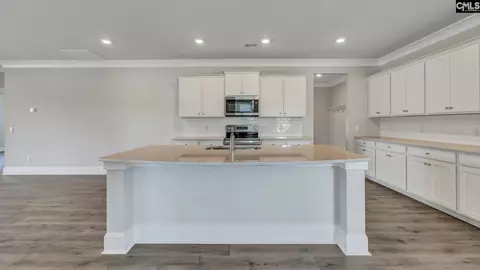 341 Kenworthy Ct, Irmo, SC 29063 photo 4