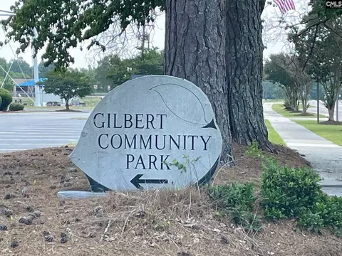 View/Area - 332 Hazelmount Rd, Gilbert, SC 29054 photo 1 of 1