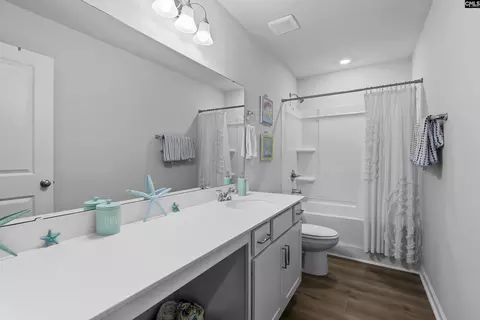 Bath - 660 Clementine Run, Gilbert, SC 29054 photo 3 of 4