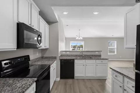 Kitchen - 251 Common Reed Dr, Gilbert, SC 29054 photo 1 of 1