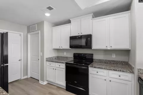 Other - 251 Common Reed Dr, Gilbert, SC 29054 photo 2 of 4