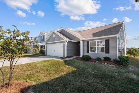 Exterior - 251 Common Reed Dr, Gilbert, SC 29054 photo 2 of 4
