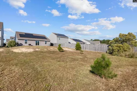 Exterior - 251 Common Reed Dr, Gilbert, SC 29054 photo 4 of 4