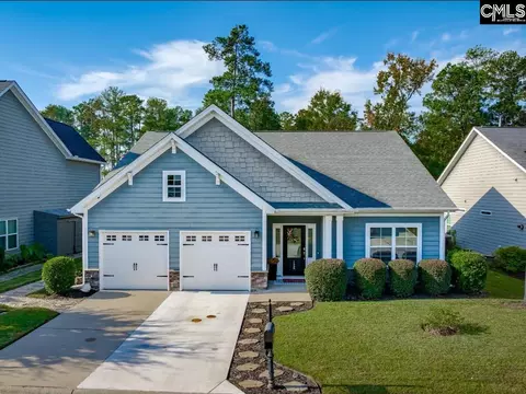 126 Azur Ave, Chapin, SC 29036