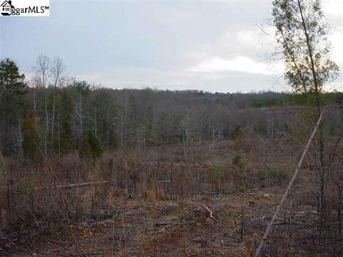 295 Mccullough School Rd, Honea Path, SC 29654 photo 1