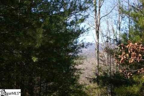 601 Arledge Rd, Landrum, SC 29356 photo 6