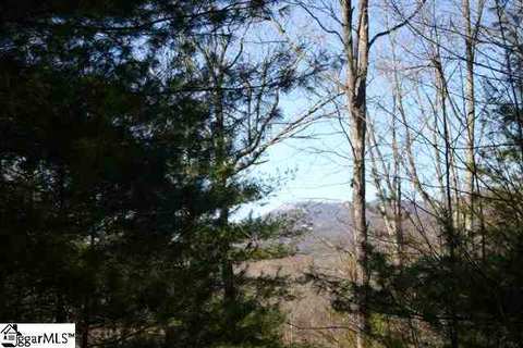 601 Arledge Rd, Landrum, SC 29356 photo 5