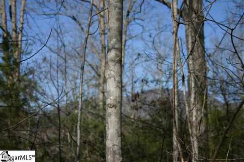 601 Arledge Rd, Landrum, SC 29356 photo 4
