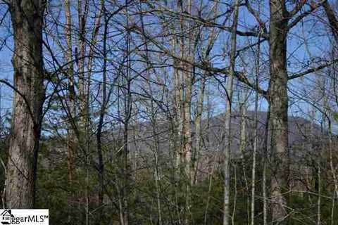 601 Arledge Rd, Landrum, SC 29356 photo 3
