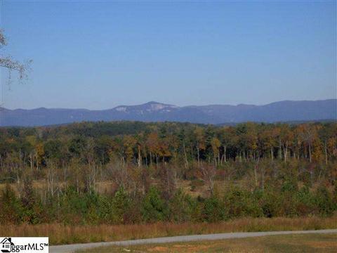 115 Johnathon Ln, Easley, SC 29640 photo 1