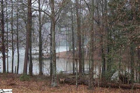 180 Dancing Brook Ln, Chesnee, SC 29323 photo 3
