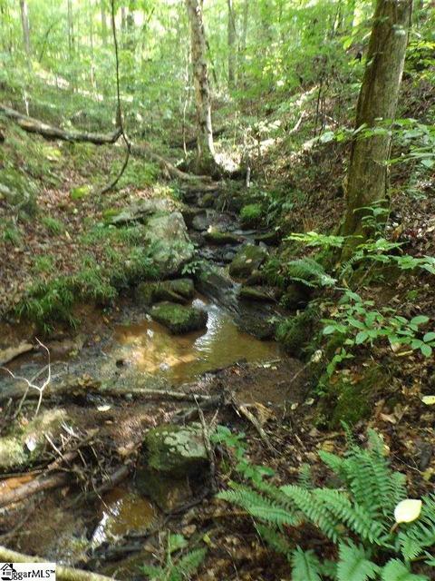 300 Cedar Creek Dr, Sunset, SC 29685 photo 8