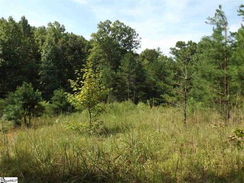 300 Cedar Creek Dr, Sunset, SC 29685 photo 2