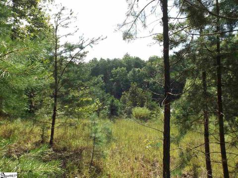 300 Cedar Creek Dr, Sunset, SC 29685 photo 4