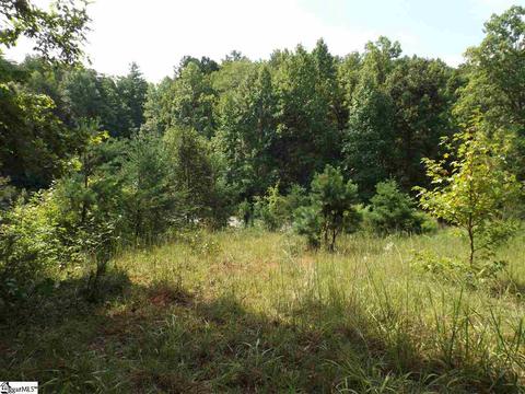 300 Cedar Creek Dr, Sunset, SC 29685 photo 5