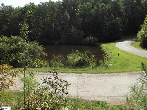 300 Cedar Creek Dr, Sunset, SC 29685 photo 12