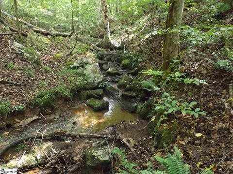 300 Cedar Creek Dr, Sunset, SC 29685 photo 9